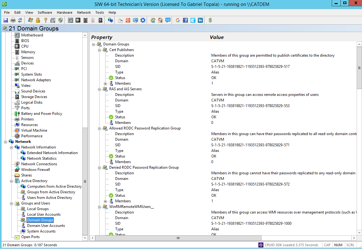 SIW | Domain Groups